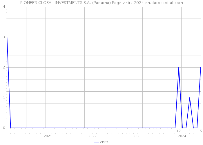 PIONEER GLOBAL INVESTMENTS S.A. (Panama) Page visits 2024 