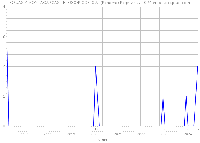 GRUAS Y MONTACARGAS TELESCOPICOS, S.A. (Panama) Page visits 2024 