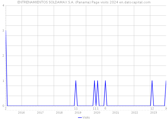 ENTRENAMIENTOS SOLDAMAX S.A. (Panama) Page visits 2024 