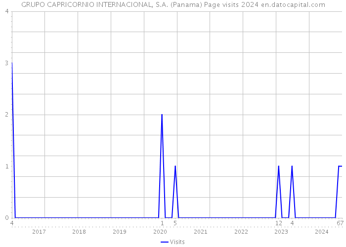 GRUPO CAPRICORNIO INTERNACIONAL, S.A. (Panama) Page visits 2024 