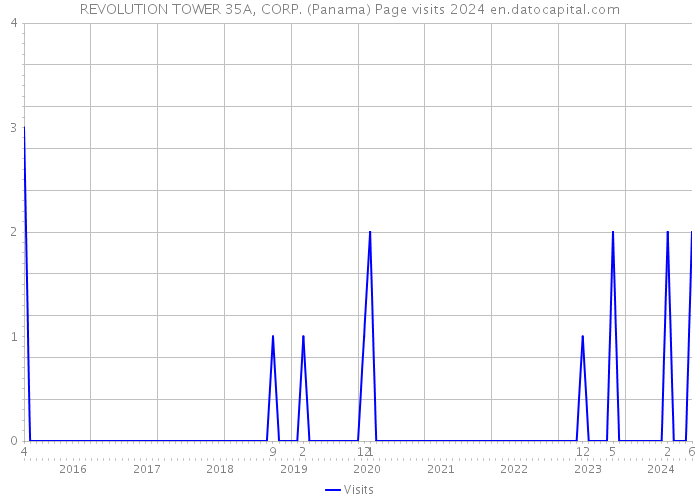 REVOLUTION TOWER 35A, CORP. (Panama) Page visits 2024 
