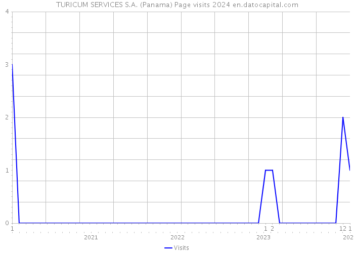 TURICUM SERVICES S.A. (Panama) Page visits 2024 