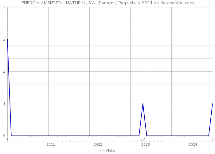 ENERGIA AMBIENTAL NATURAL, S.A. (Panama) Page visits 2024 