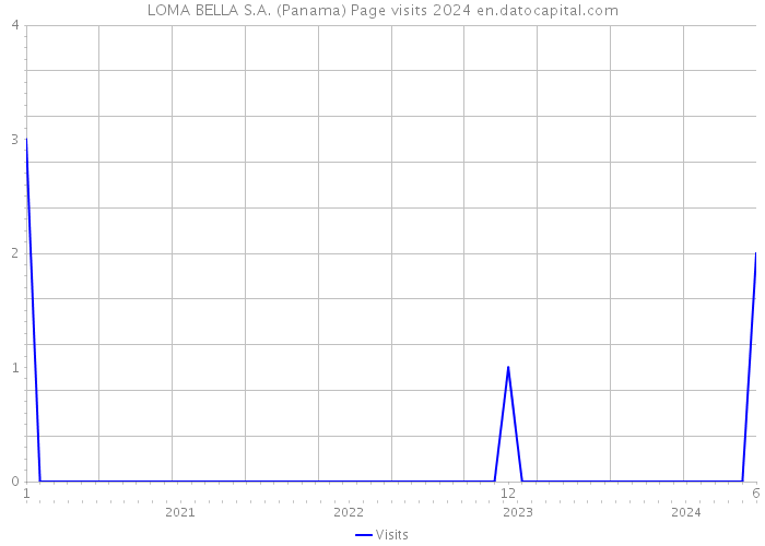 LOMA BELLA S.A. (Panama) Page visits 2024 