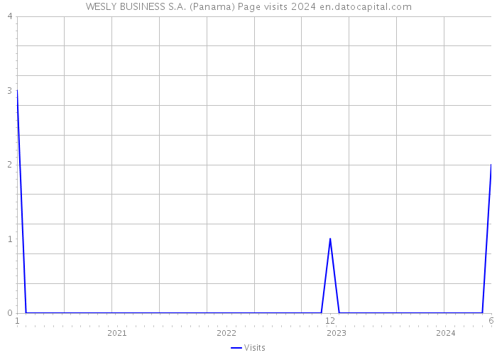WESLY BUSINESS S.A. (Panama) Page visits 2024 