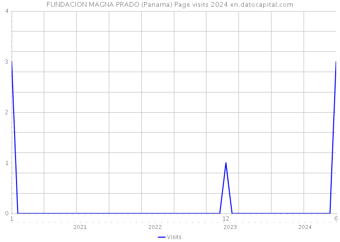 FUNDACION MAGNA PRADO (Panama) Page visits 2024 