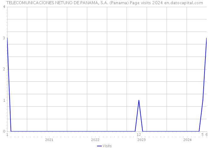TELECOMUNICACIONES NETUNO DE PANAMA, S.A. (Panama) Page visits 2024 