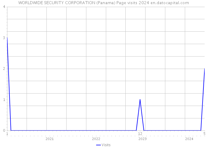WORLDWIDE SECURITY CORPORATION (Panama) Page visits 2024 
