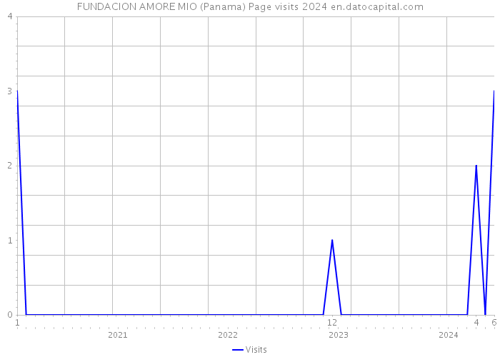 FUNDACION AMORE MIO (Panama) Page visits 2024 