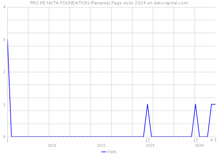 PRO RE NATA FOUNDATION (Panama) Page visits 2024 