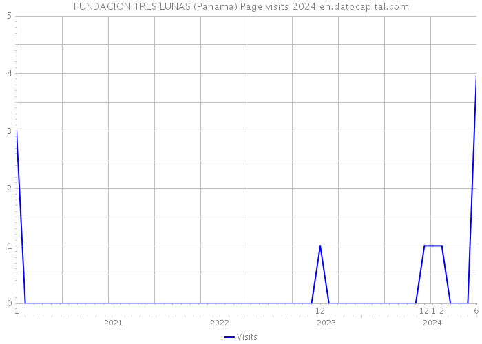 FUNDACION TRES LUNAS (Panama) Page visits 2024 