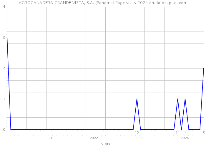 AGROGANADERA GRANDE VISTA, S.A. (Panama) Page visits 2024 
