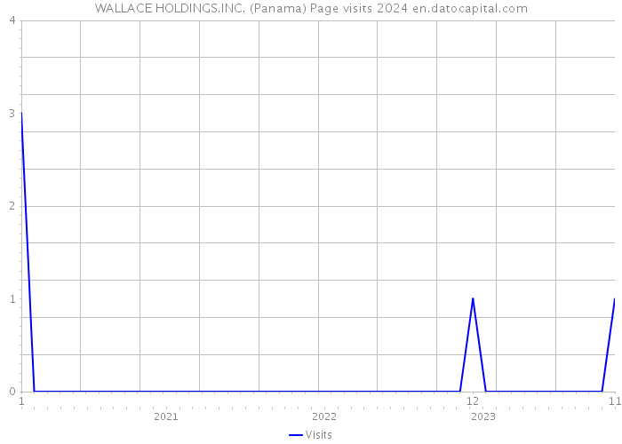 WALLACE HOLDINGS.INC. (Panama) Page visits 2024 