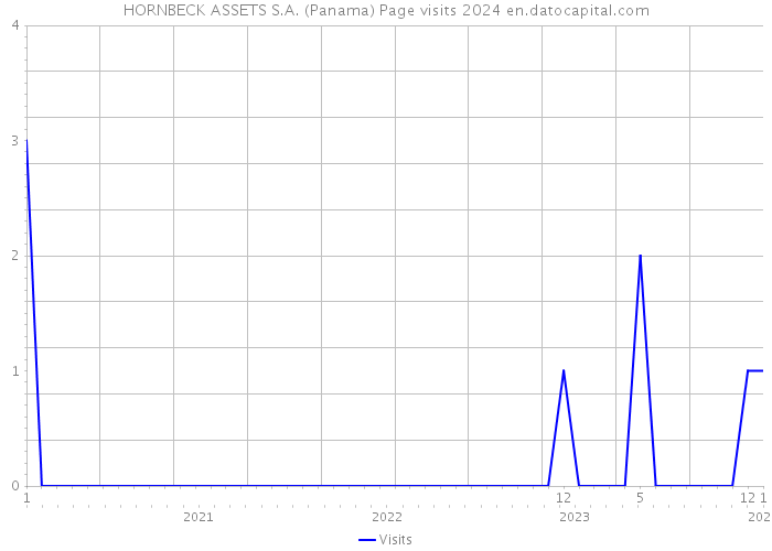 HORNBECK ASSETS S.A. (Panama) Page visits 2024 