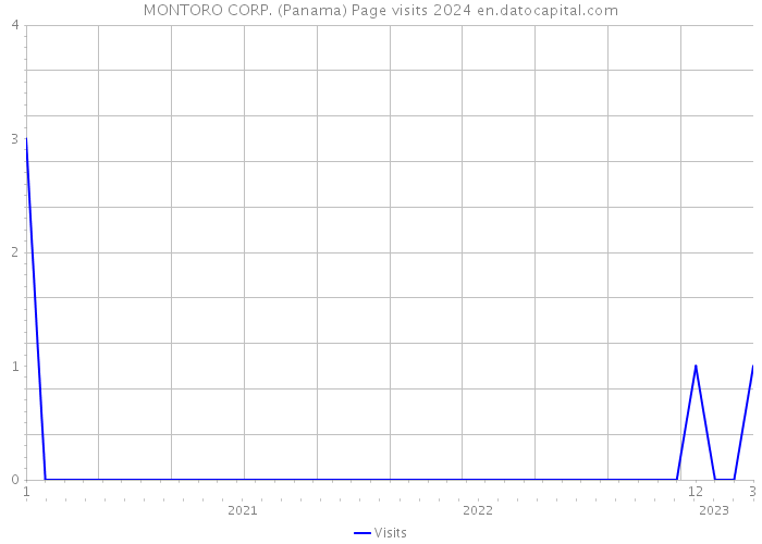 MONTORO CORP. (Panama) Page visits 2024 