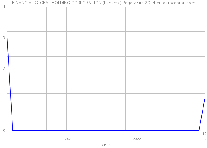 FINANCIAL GLOBAL HOLDING CORPORATION (Panama) Page visits 2024 