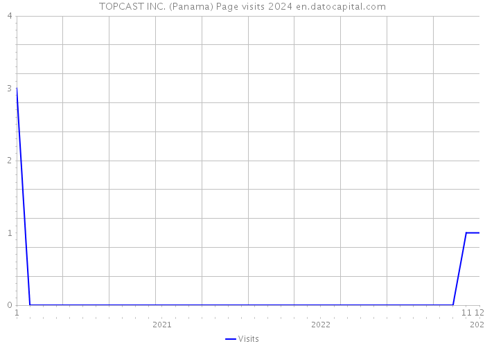 TOPCAST INC. (Panama) Page visits 2024 