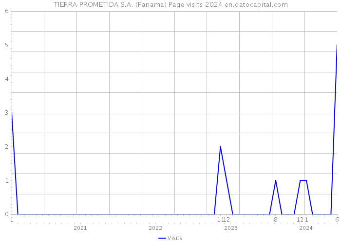 TIERRA PROMETIDA S.A. (Panama) Page visits 2024 