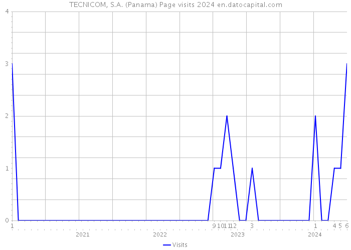 TECNICOM, S.A. (Panama) Page visits 2024 