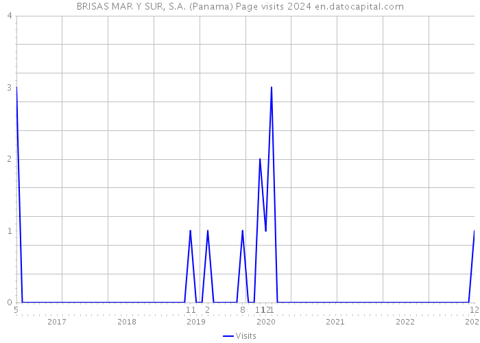 BRISAS MAR Y SUR, S.A. (Panama) Page visits 2024 