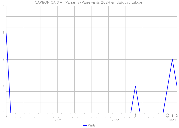 CARBONICA S.A. (Panama) Page visits 2024 