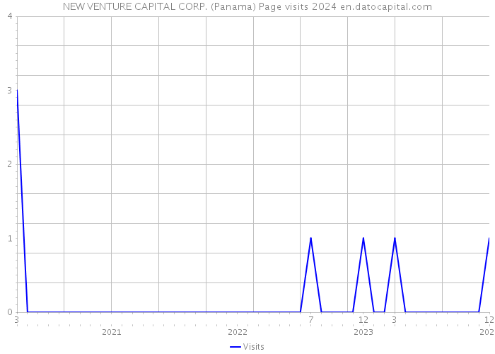NEW VENTURE CAPITAL CORP. (Panama) Page visits 2024 