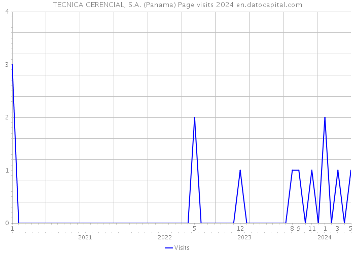 TECNICA GERENCIAL, S.A. (Panama) Page visits 2024 