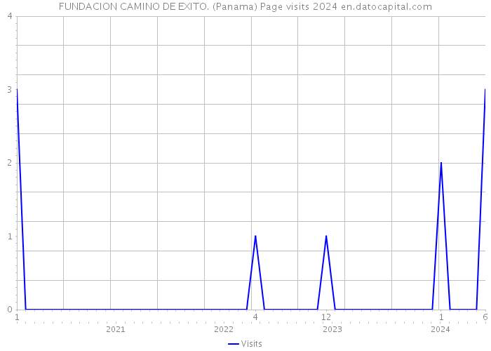 FUNDACION CAMINO DE EXITO. (Panama) Page visits 2024 