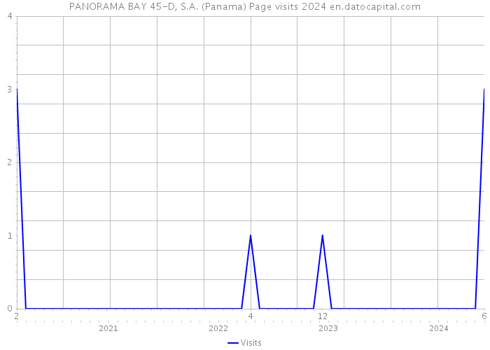 PANORAMA BAY 45-D, S.A. (Panama) Page visits 2024 
