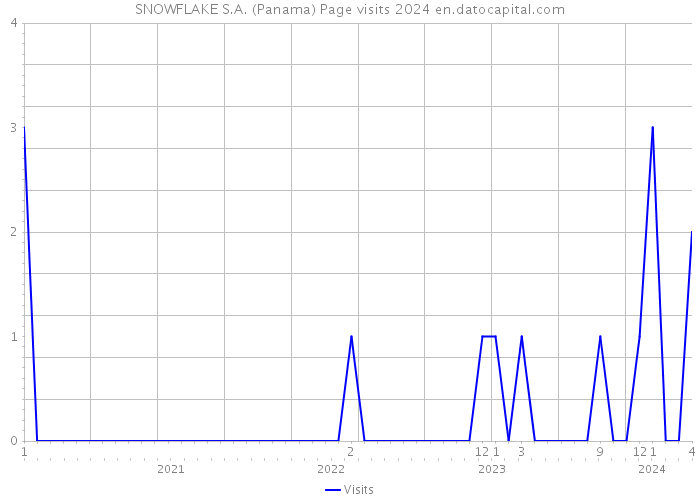 SNOWFLAKE S.A. (Panama) Page visits 2024 