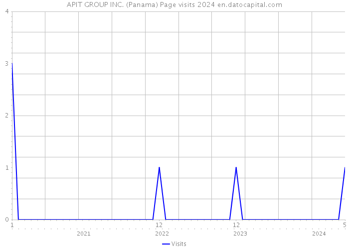 APIT GROUP INC. (Panama) Page visits 2024 