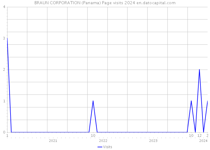 BRAUN CORPORATION (Panama) Page visits 2024 
