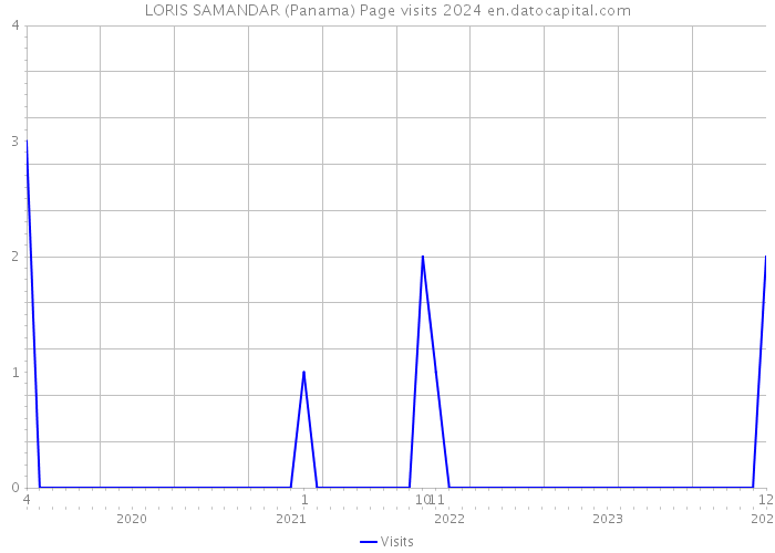 LORIS SAMANDAR (Panama) Page visits 2024 