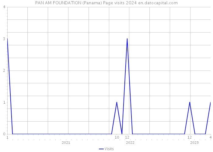 PAN AM FOUNDATION (Panama) Page visits 2024 