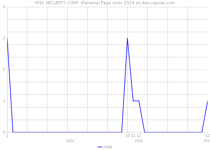 RISK SECURITY CORP. (Panama) Page visits 2024 