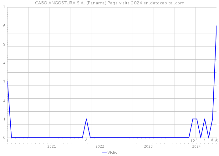 CABO ANGOSTURA S.A. (Panama) Page visits 2024 