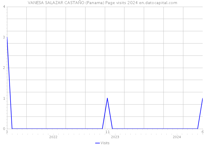 VANESA SALAZAR CASTAÑO (Panama) Page visits 2024 