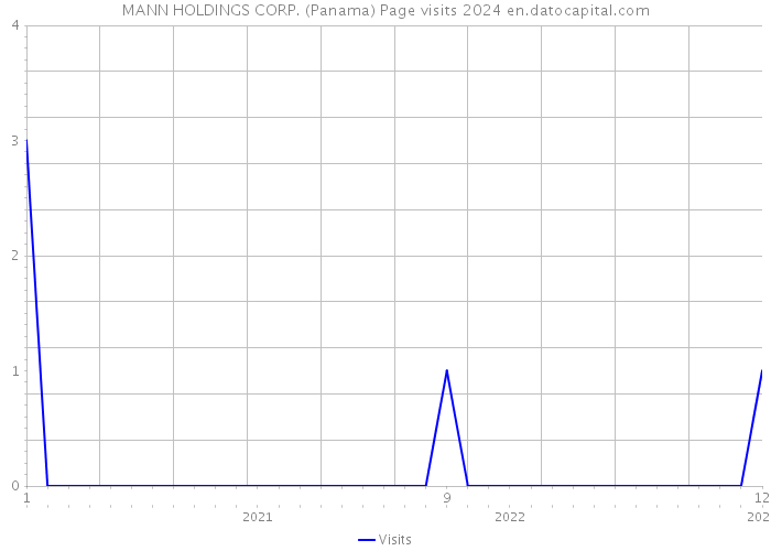 MANN HOLDINGS CORP. (Panama) Page visits 2024 