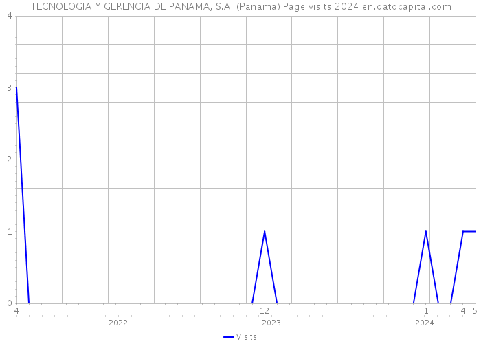 TECNOLOGIA Y GERENCIA DE PANAMA, S.A. (Panama) Page visits 2024 