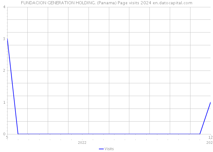 FUNDACION GENERATION HOLDING. (Panama) Page visits 2024 