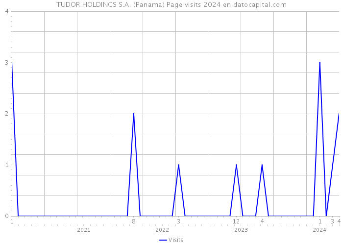TUDOR HOLDINGS S.A. (Panama) Page visits 2024 