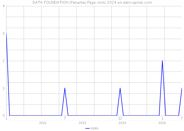 DATA FOUNDATION (Panama) Page visits 2024 