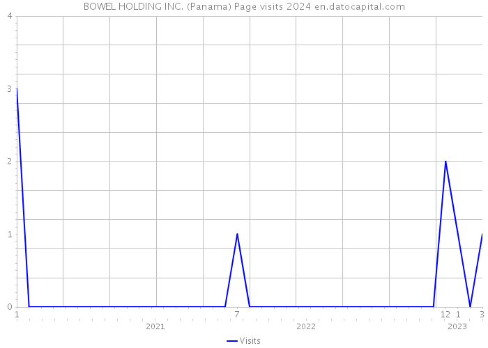 BOWEL HOLDING INC. (Panama) Page visits 2024 