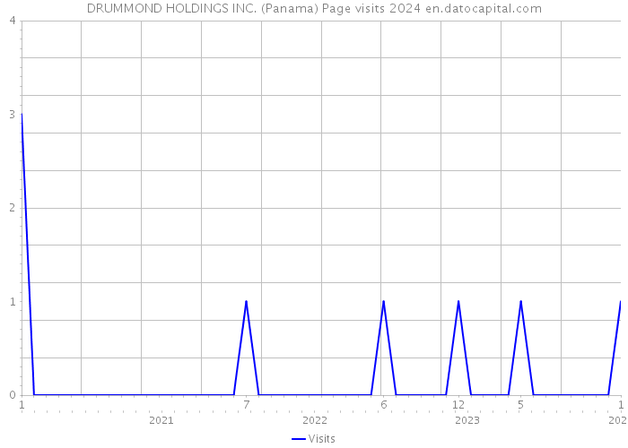 DRUMMOND HOLDINGS INC. (Panama) Page visits 2024 