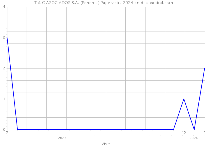 T & C ASOCIADOS S.A. (Panama) Page visits 2024 