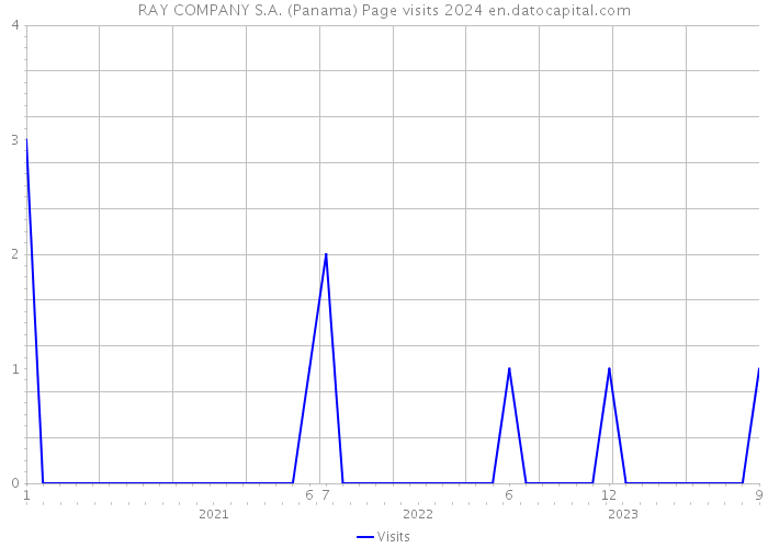RAY COMPANY S.A. (Panama) Page visits 2024 