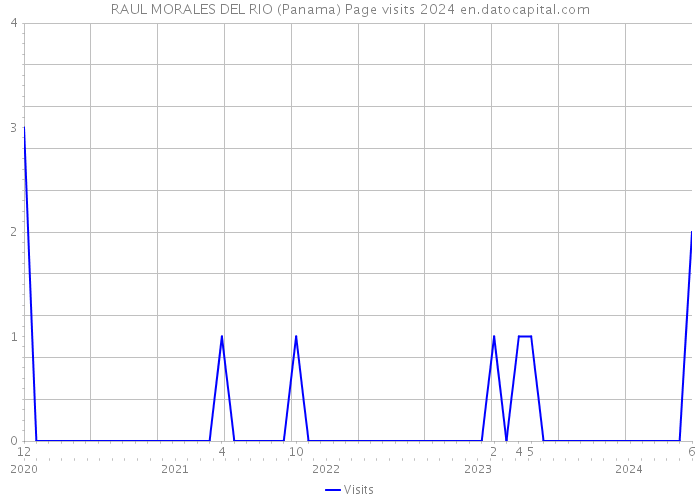 RAUL MORALES DEL RIO (Panama) Page visits 2024 