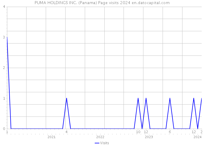 PUMA HOLDINGS INC. (Panama) Page visits 2024 