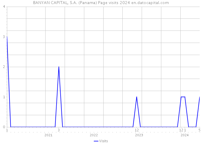 BANYAN CAPITAL, S.A. (Panama) Page visits 2024 