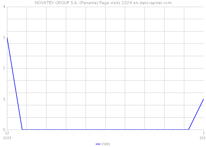 NOVATEX GROUP S.A. (Panama) Page visits 2024 